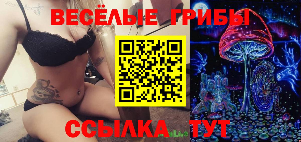 Галлюциногенные грибы Psilocybe  Вход с VPN  Рославль  Галлюциногенные грибы мухоморы 
